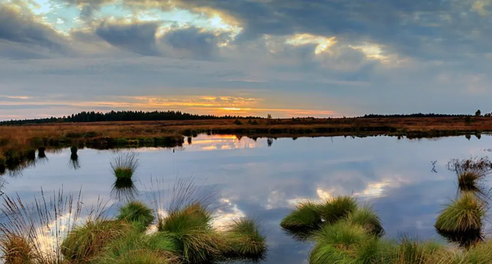 ЕК ни дава на съд за неспазване на правилата за Натура 2000