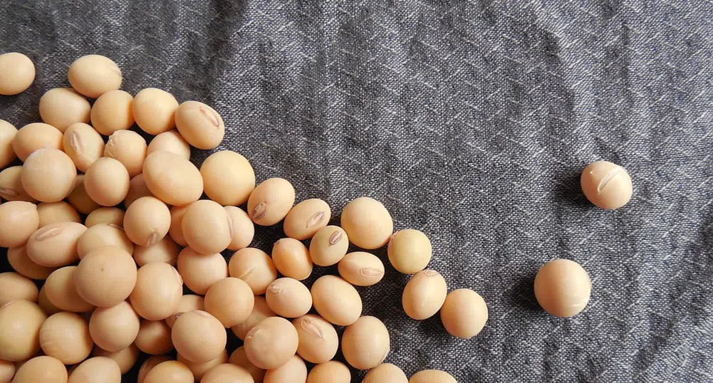 Соевият автомобил на Хенри Форд (снимки)