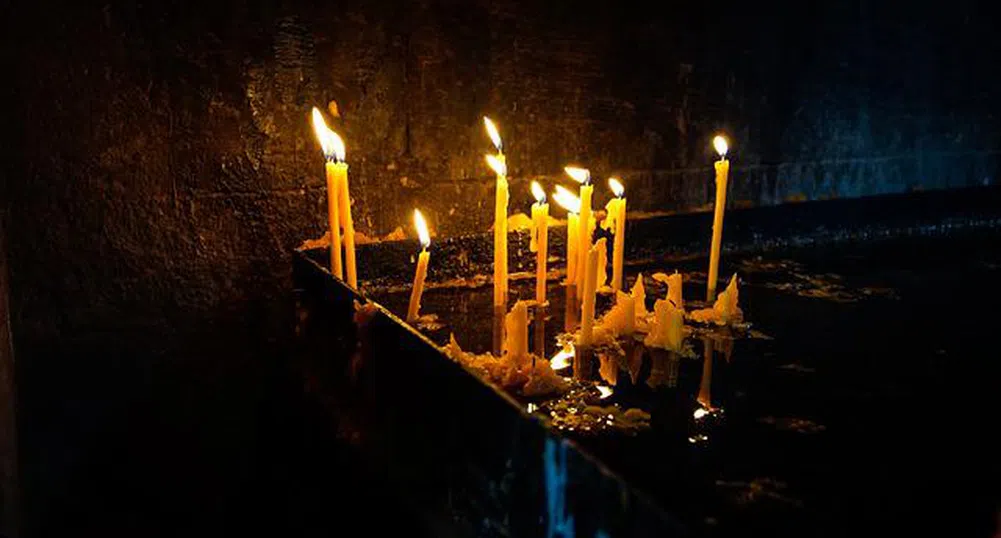 Черешова задушница е