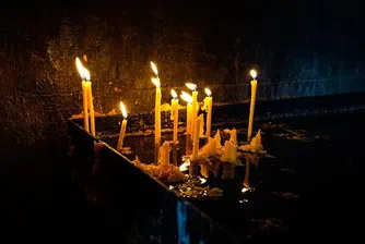 Черешова задушница е