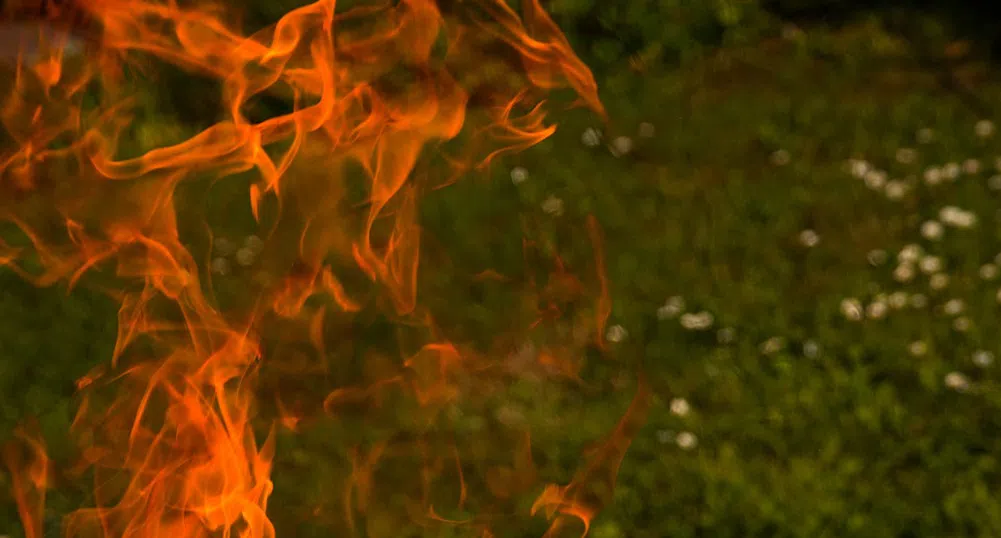 Пожар изпепели исторически град от времето на Златната треска в САЩ