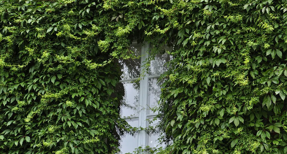 Къщата с 16 страни, в която винаги грее слънце (снимки)