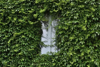 Къщата с 16 страни, в която винаги грее слънце (снимки)