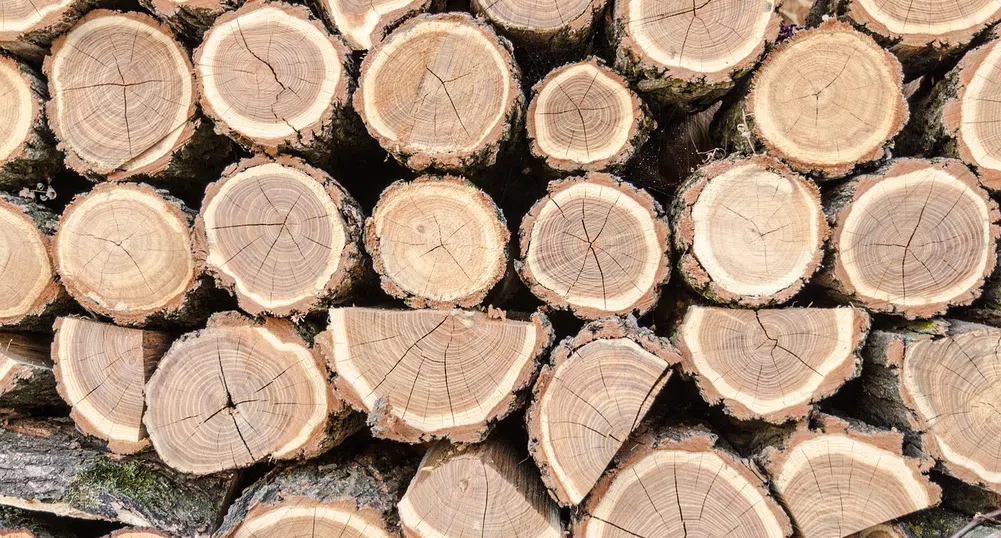 Свилоза отново спря работа