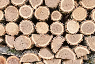 Свилоза отново спря работа