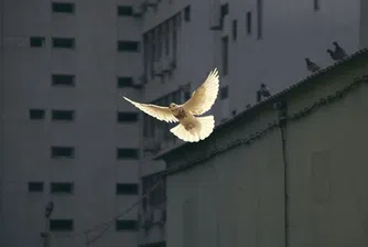 Устойчив мир или нова желязна завеса?