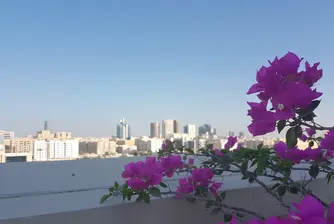 Басейн на покрива, или удивително приключение под звездите