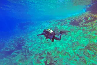 Бахрейн създава най-големия подводен парк в света