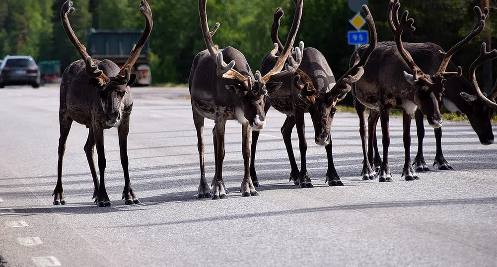 Защо Финландия е една от най-добрите страни за живот в света?