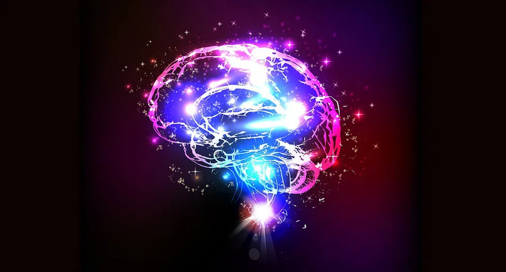 Пет вида храни, които пречат на паметта и концентрацията