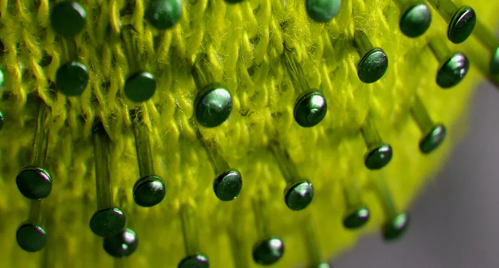 Здравните власти: Шест начина да се предпазите от COVID-19 по Великден