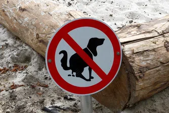 Компания плаща 6000 долара, за да душите изпражненията на кучето си