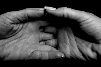 Каква е функцията на линиите на дланта?