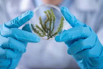 Пет научни пробива от 2022 разкриват нова ера в медицината