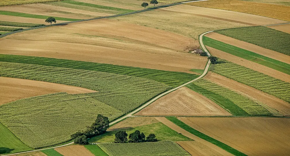 Земеделската земя поскъпна рекордно през 2017 г.