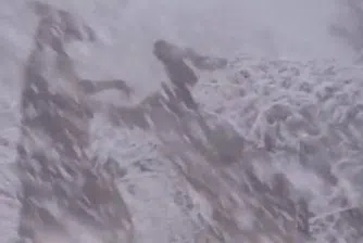 Бой между кенгурута в снежна Австралия (снимки и видео)