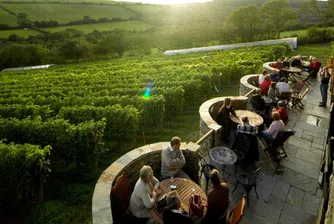 Британците пият фантастично вино заради климатичните промени