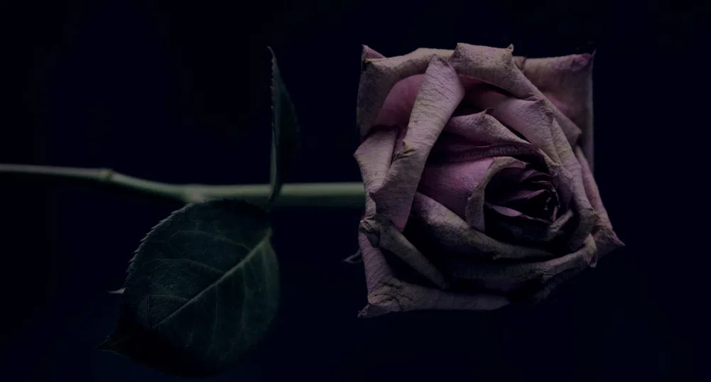 Убийство има, виновни – не. Една "обикновена" българска драма