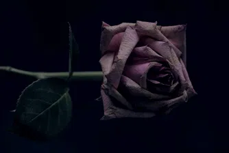 Убийство има, виновни – не. Една "обикновена" българска драма