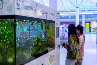 Екстравагантни вендинг машини