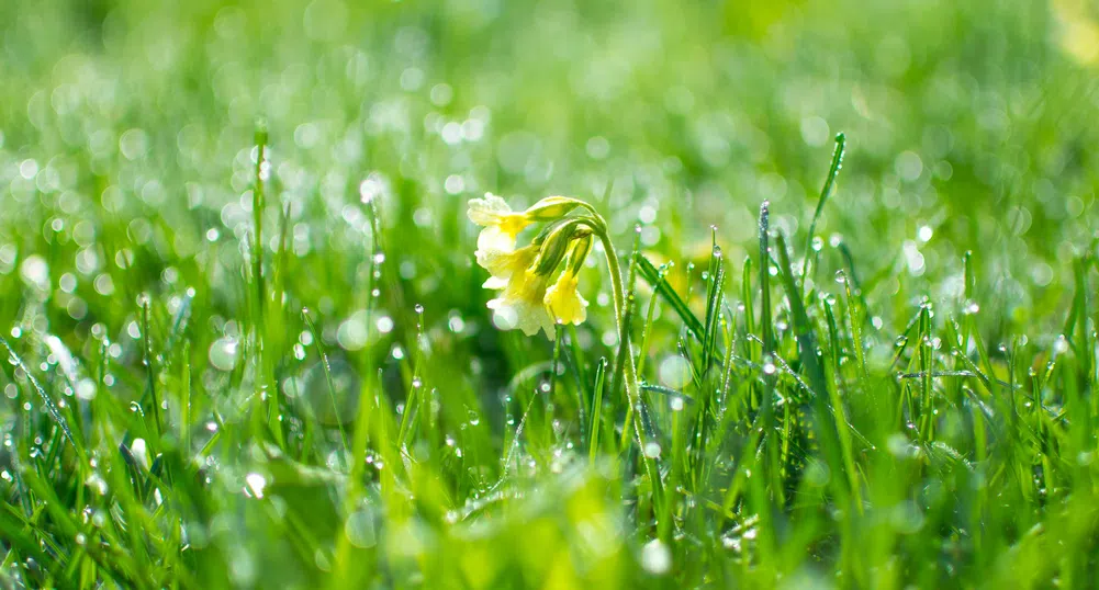 Между минус 3 и 28 градуса през април