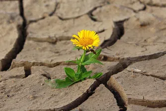 Превръща ли се Румъния в балканска Сахара и какви са последиците от сушата?