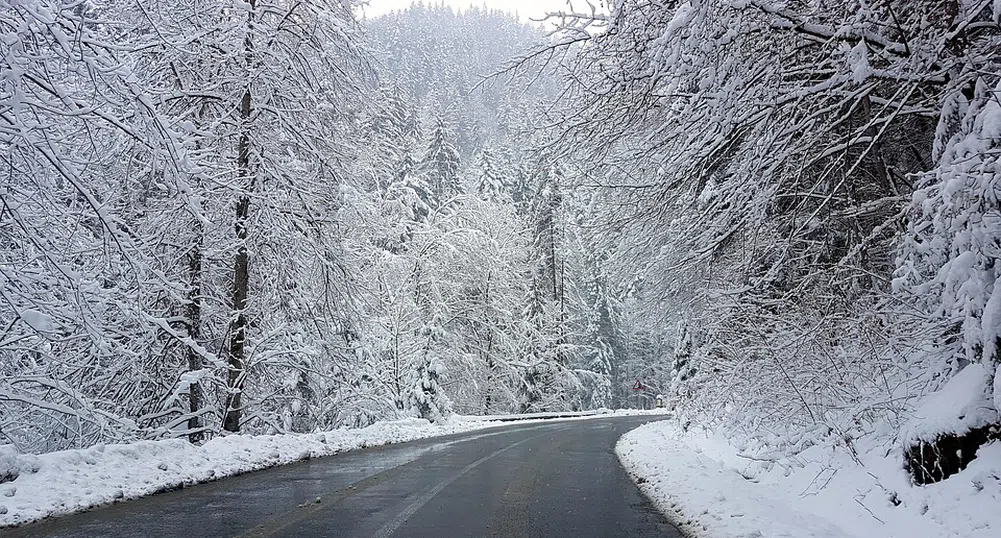 Жълт код за сняг и вятър в 19 области