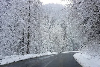 Жълт код за сняг и вятър в 19 области