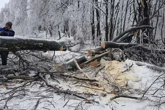 Продължава разчистването на прохода „Петрохан“
