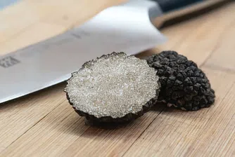 Истинската причина, поради която трюфелите са толкова скъпи