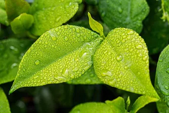 Оранжев код за валежи в четири области