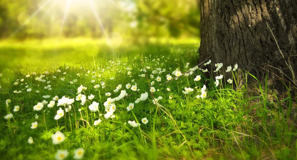 Слънце и летни температури днес