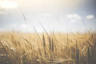 Китайски технологичен гигант дарява цялата си печалба за селските райони