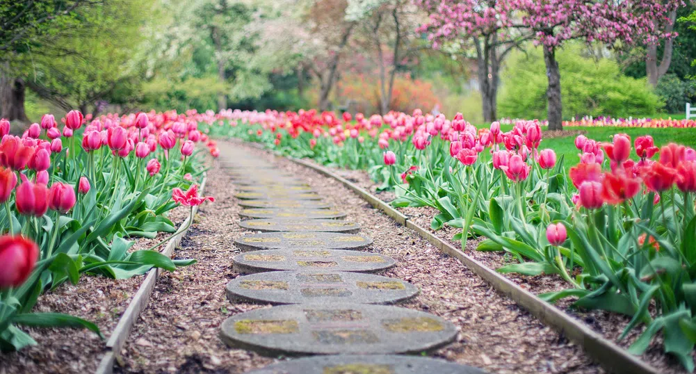 Очаква ни затопляне днес