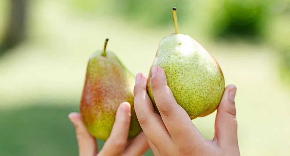 Яжте круши при настинка и срещу високо кръвно