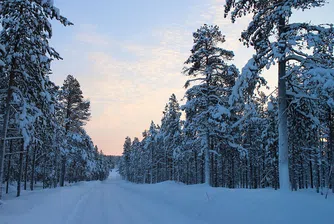 Пътищата в страната са проходими при зимни условия