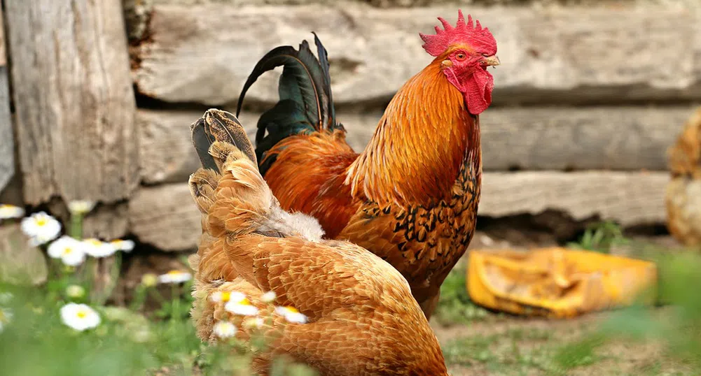 Село съветва туристите, които не харесват селския живот, да отидат другаде