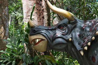 Вълшебни места, които да посетите, преди децата да пораснат