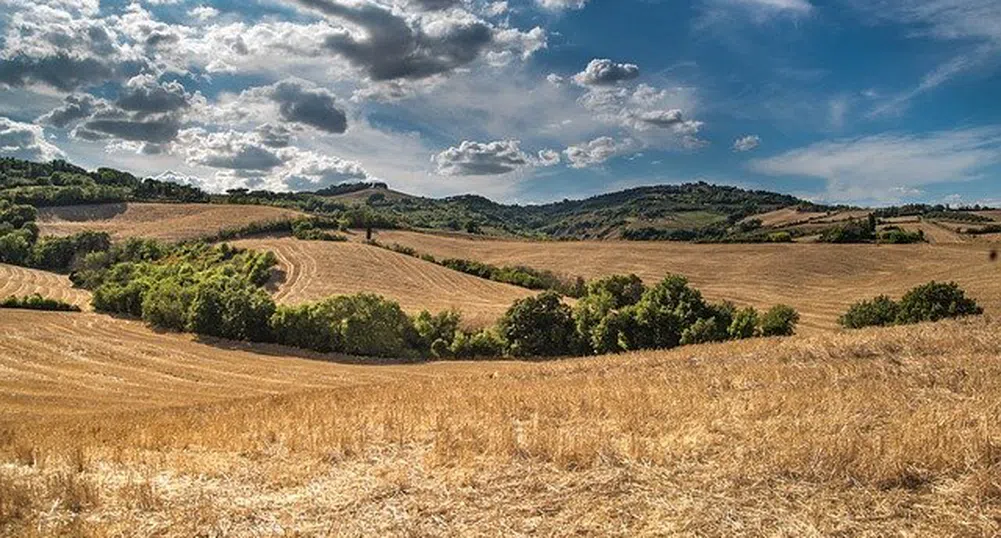 Студено и дъждовно време за Деня на независимостта
