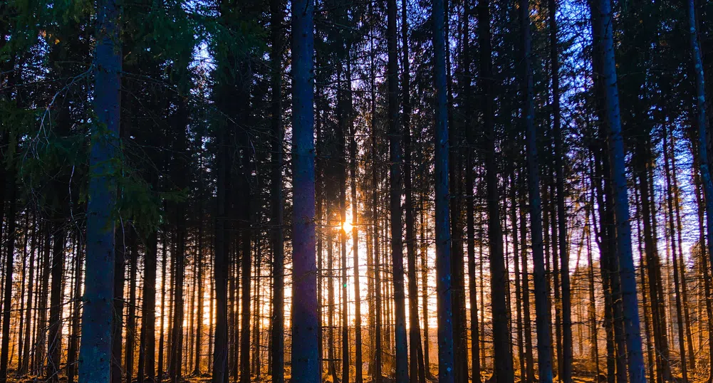Слънчево начало на уикенда, в неделя се очакват превалявания