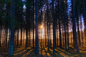 Слънчево начало на уикенда, в неделя се очакват превалявания