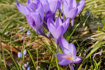 От минус 20 до плюс 24 градуса през март