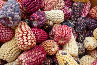 7 храни, които дължим на американските индианци