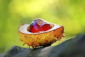 Есента идва днес в 22.21 ч.