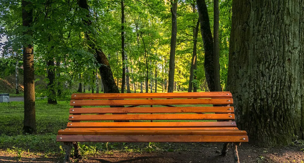 Температури до 17 градуса в неделя