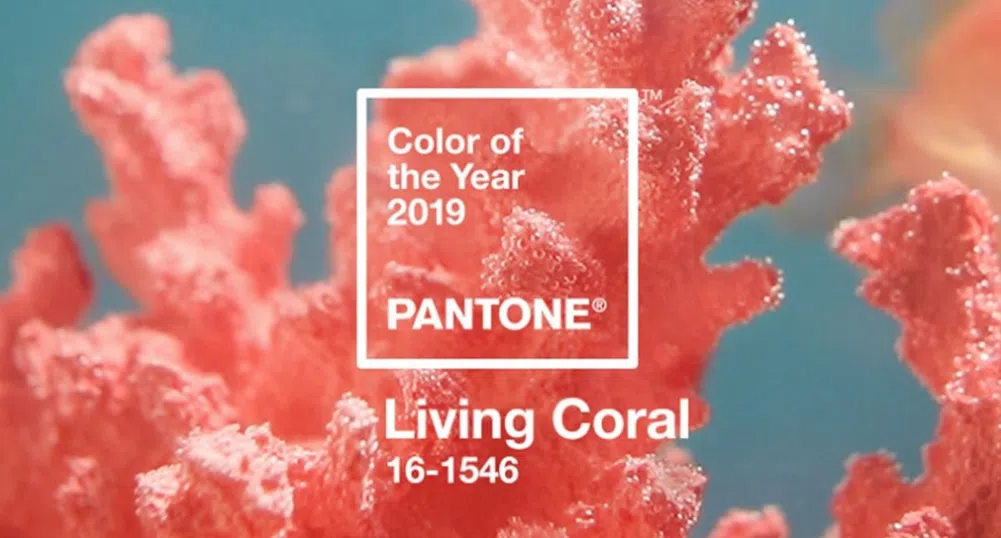 Жив корал - цветът на 2019 г.