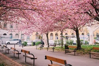 Виена отново е най-добрият град за обитаване в света