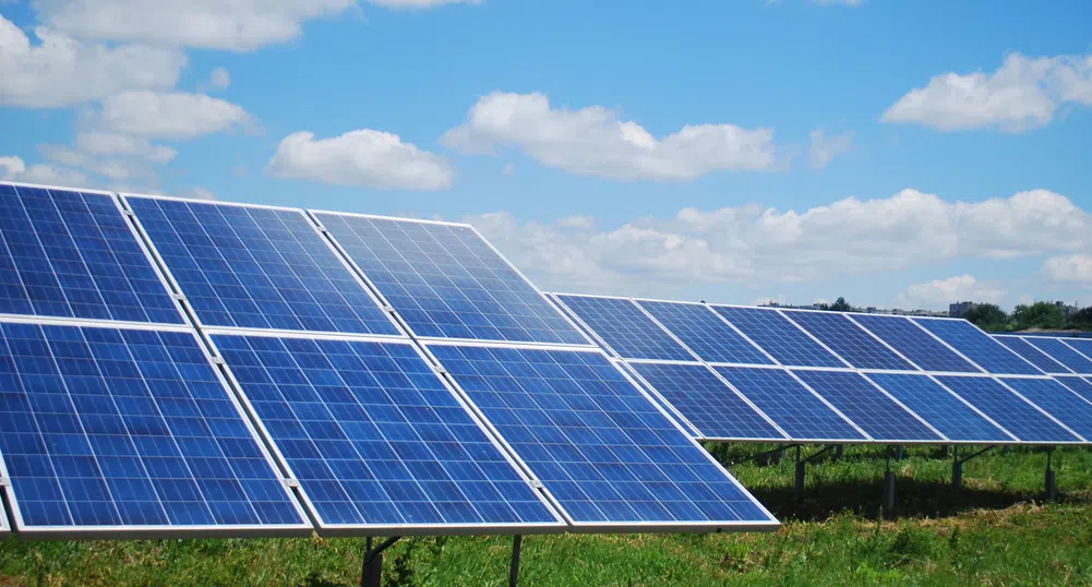 A1 и Реналфа подписаха дългосрочен договор за доставка на зелена енергия