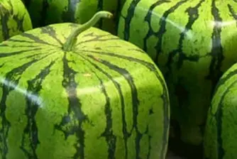 Защо японските фермери отглеждат квадратни дини