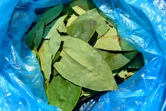 Производството на кокаин в Колумбия продължава да чупи рекорди